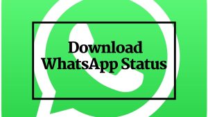 Download WhatsApp Status