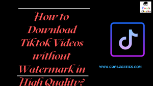 Download Tiktok Videos without Watermark in High Quality